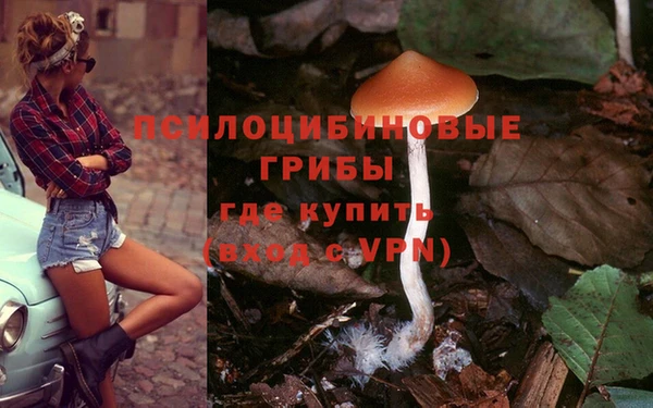 кокаин колумбия Алзамай