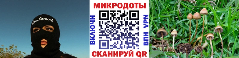 купить закладку  Арсеньев  Галлюциногенные грибы Psilocybine cubensis 