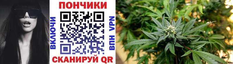 Марихуана план  нарко площадка официальный сайт  Арсеньев 